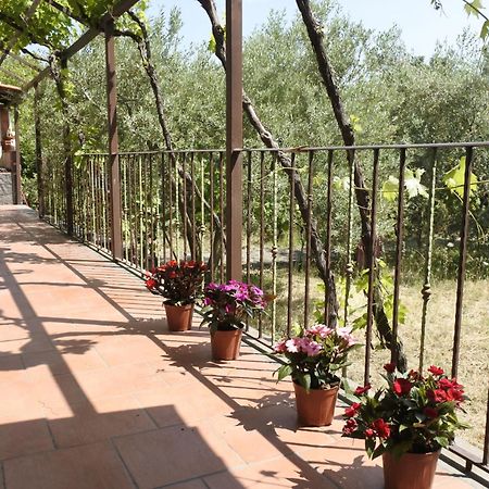 Vila Casa Vacanza Etna Evergreen Piedimonte Etneo Exteriér fotografie