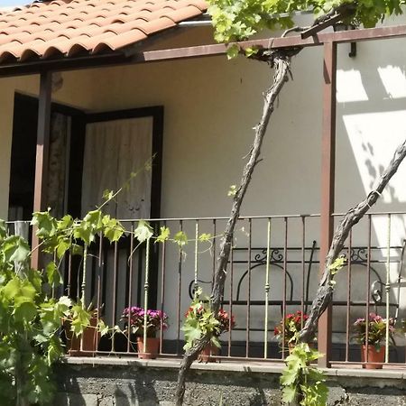 Vila Casa Vacanza Etna Evergreen Piedimonte Etneo Exteriér fotografie
