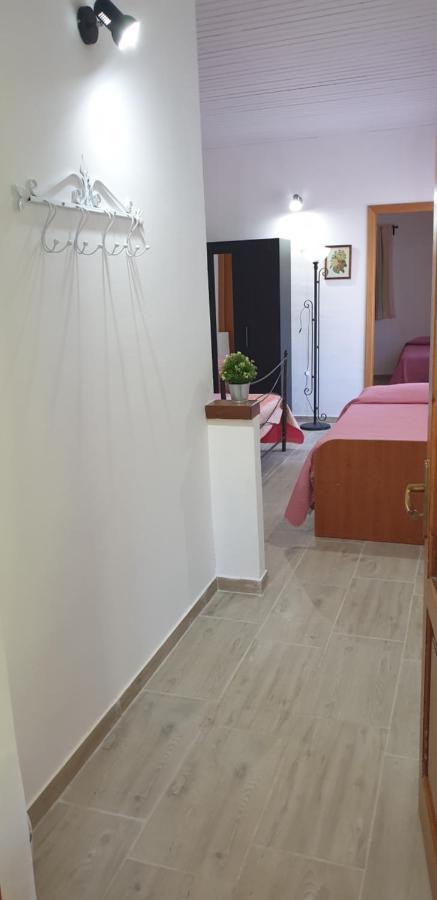 Vila Casa Vacanza Etna Evergreen Piedimonte Etneo Exteriér fotografie