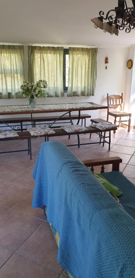 Vila Casa Vacanza Etna Evergreen Piedimonte Etneo Exteriér fotografie