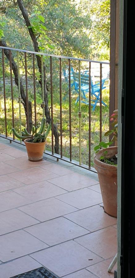 Vila Casa Vacanza Etna Evergreen Piedimonte Etneo Exteriér fotografie