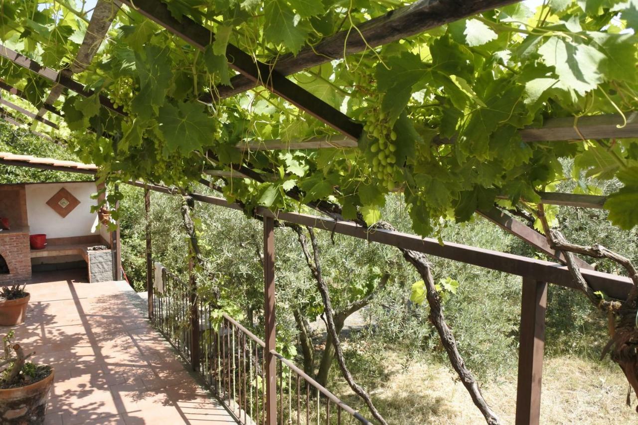Vila Casa Vacanza Etna Evergreen Piedimonte Etneo Exteriér fotografie